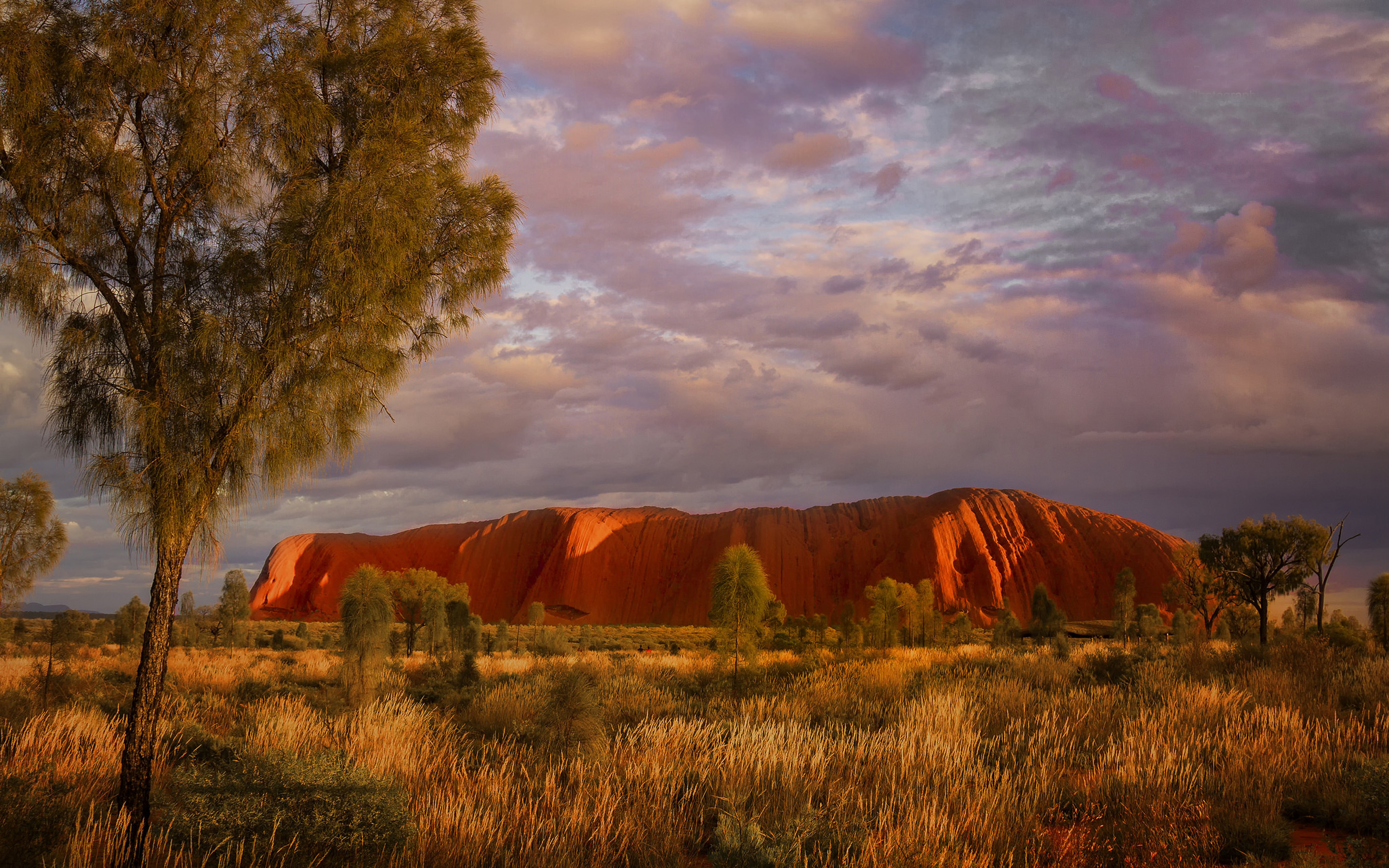  Uluru (Northern Territory, Australia)