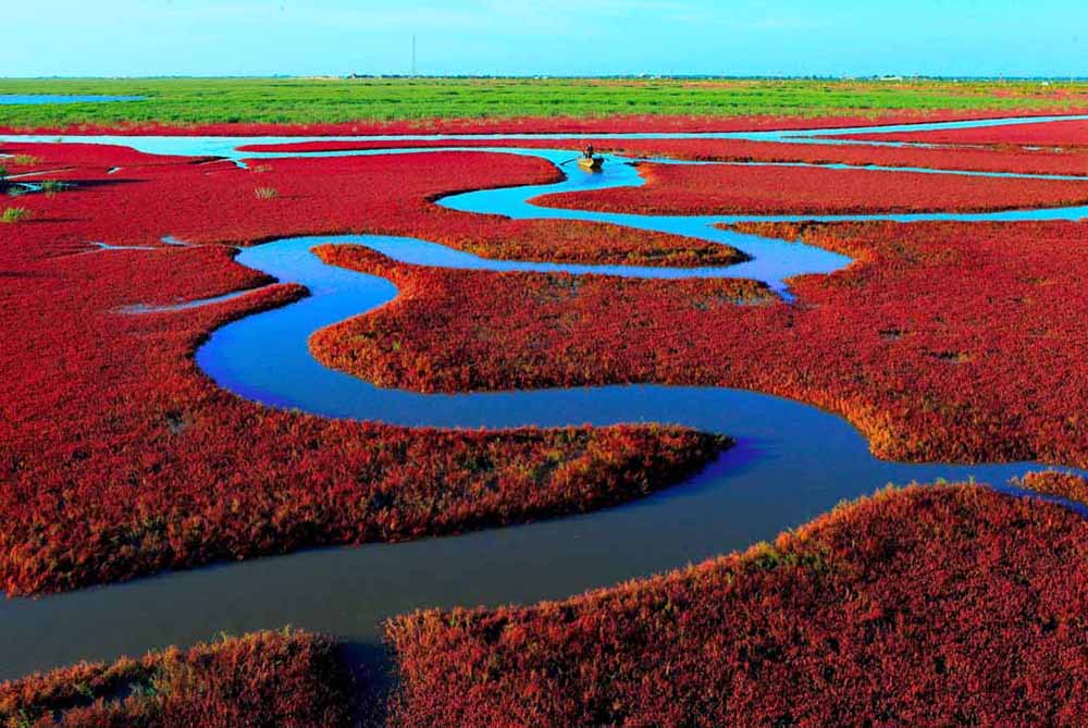 Panjin Red Beach, China