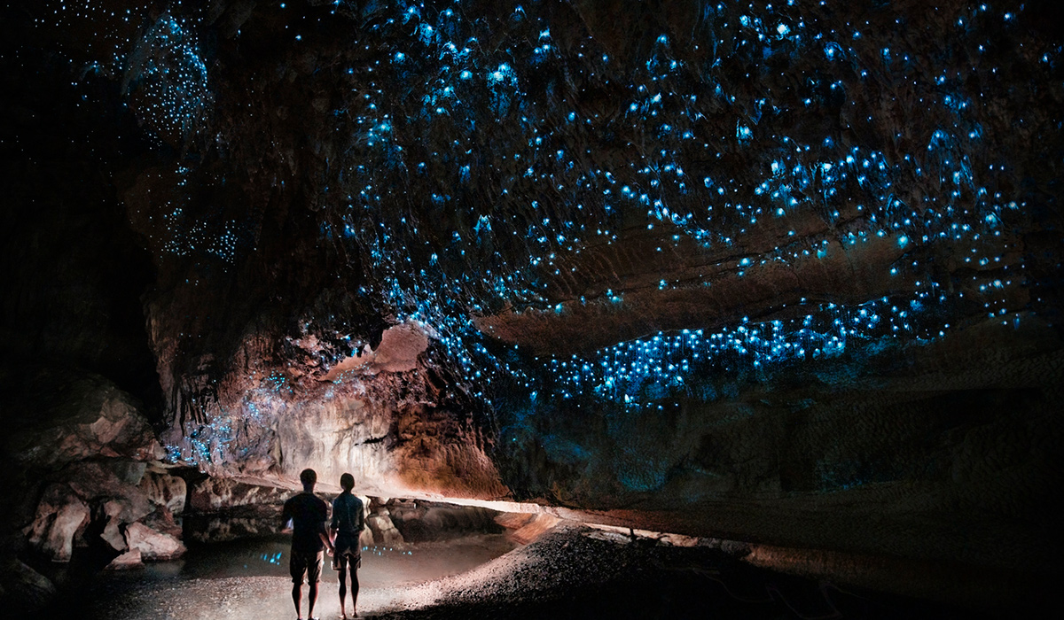 Glow worm cave, New Zealand