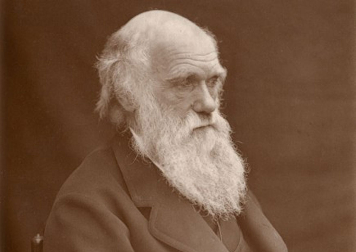 The Theory Was Popularized By Charles Darwin