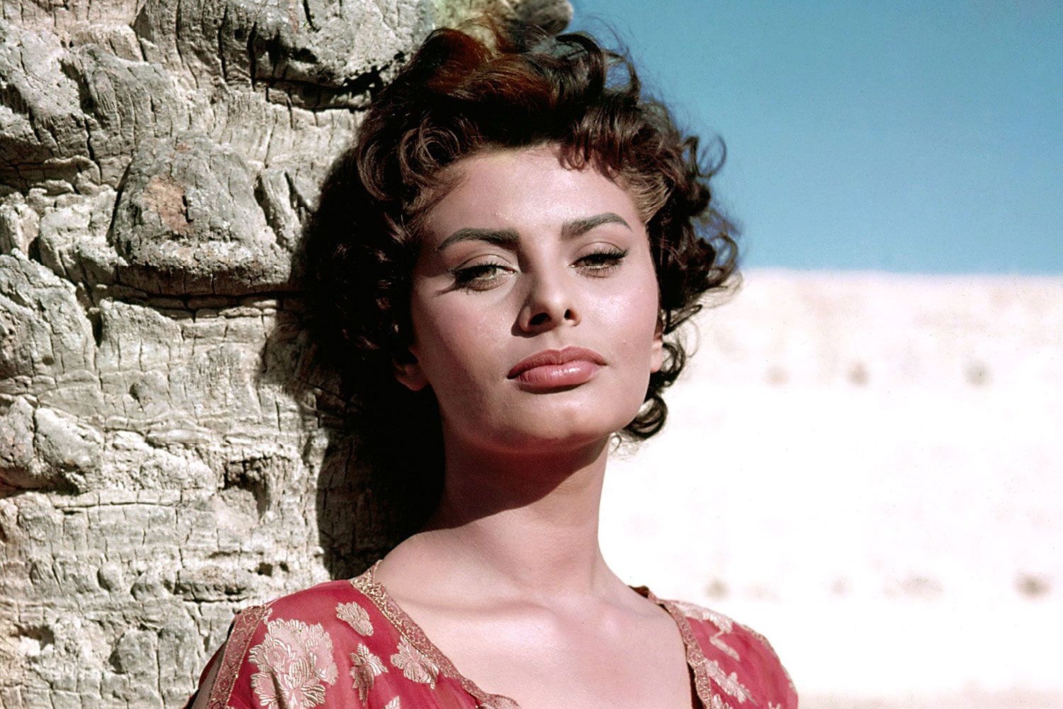 Sophia Loren