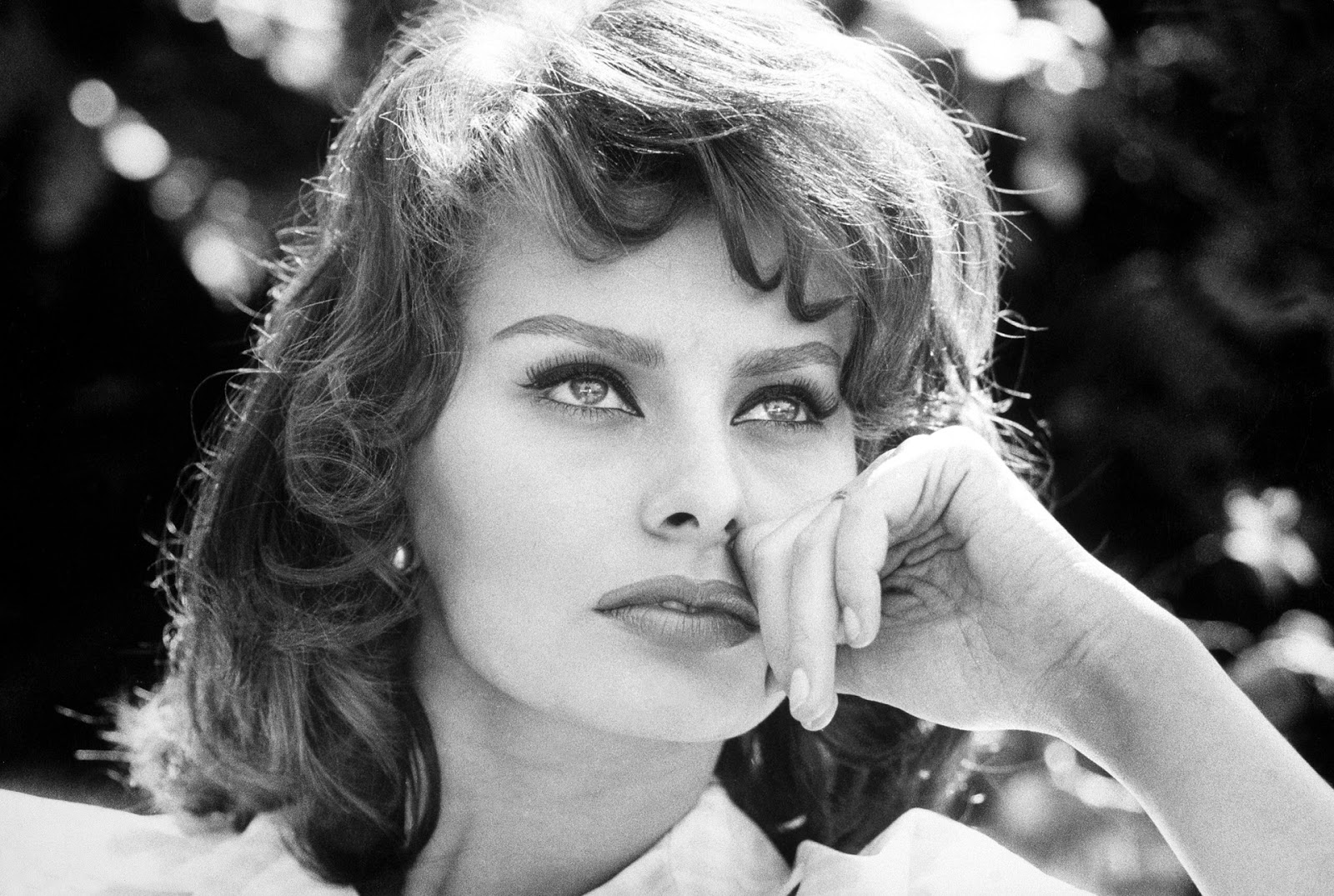 Sophia Loren