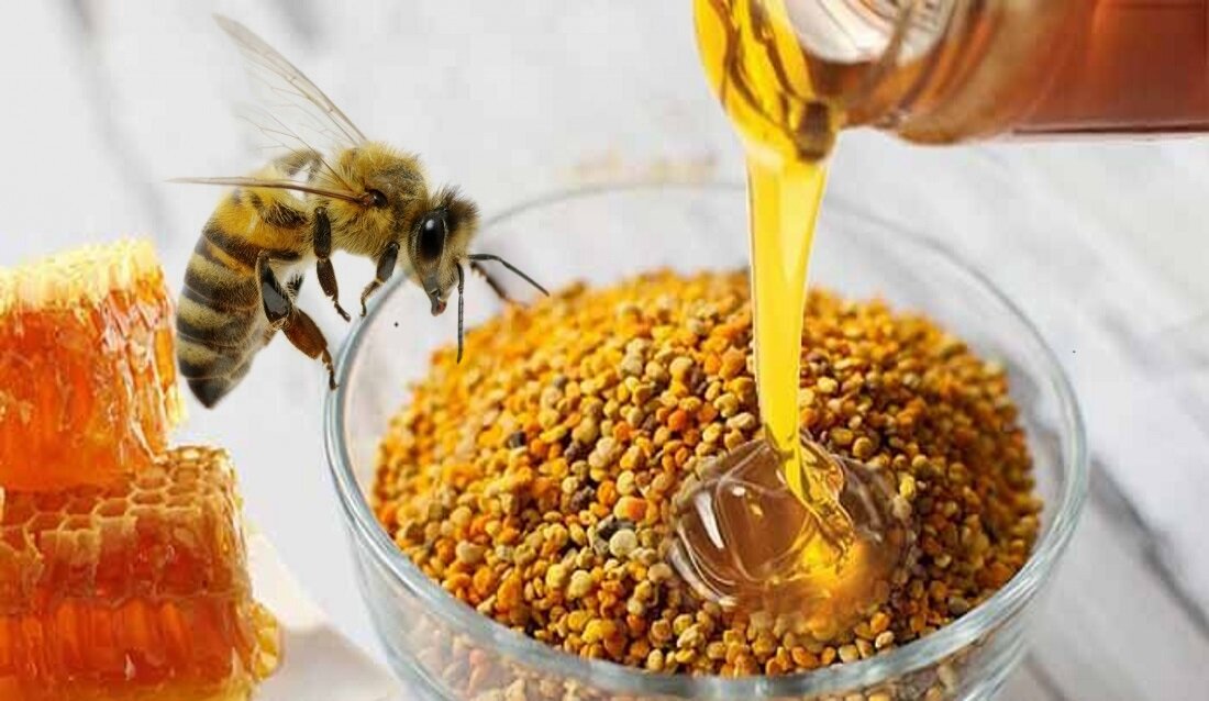 Single Beehive produce 11 kgs of honey a season