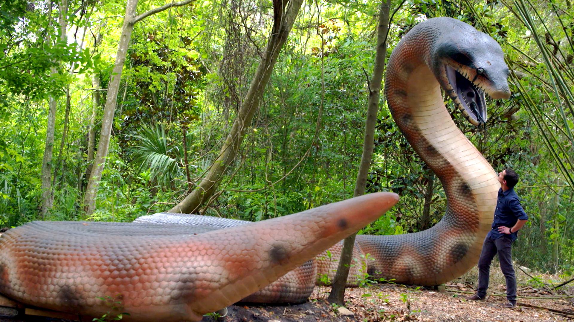 Gigantic Danger Noodle — Titanoboa