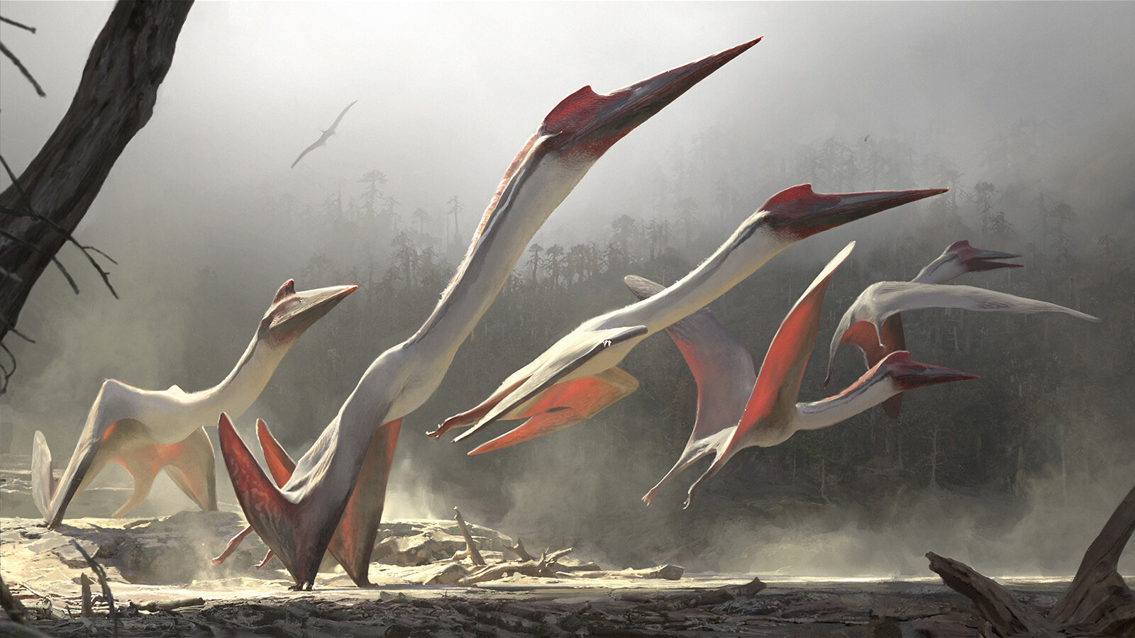 Terror in the Sky — Quetzalcoatlus