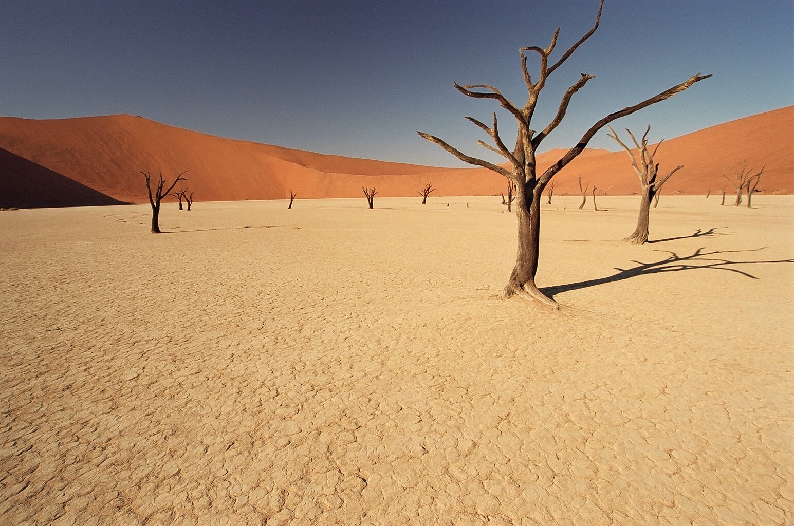 Экологические проблемы зоны пустынь и полупустынь. Почва пустыни Намиб. Пустыни и полупустыни Австралии. Мицпе Йерихо пустыня. Пустыни сахара, нубийская пустыня,.