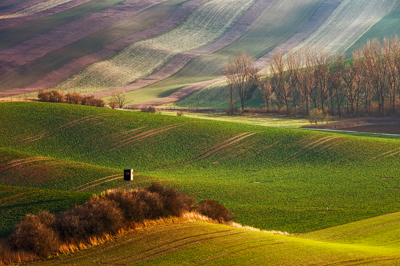 Moravian Fields: Czech Republic