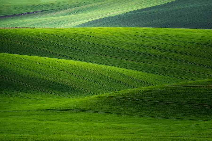 Moravian Fields: Czech Republic