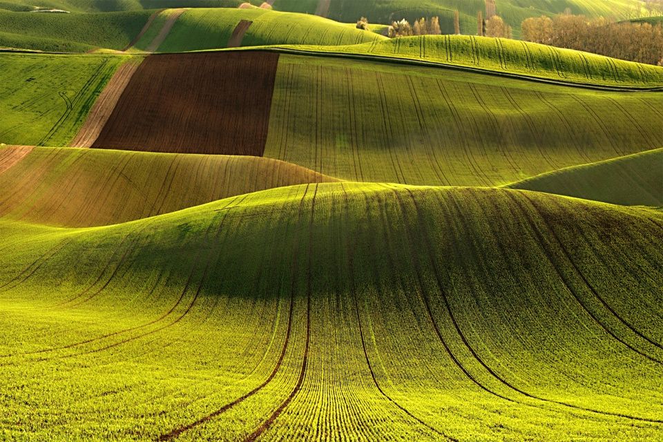 Moravian Fields: Czech Republic