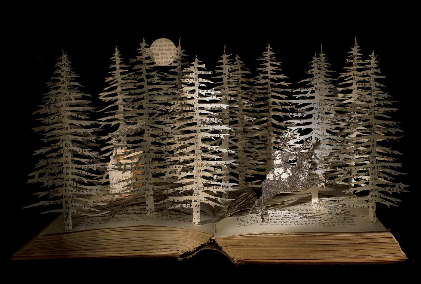 Book carving