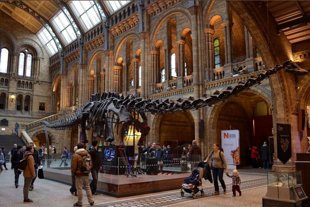 Natural History Museum