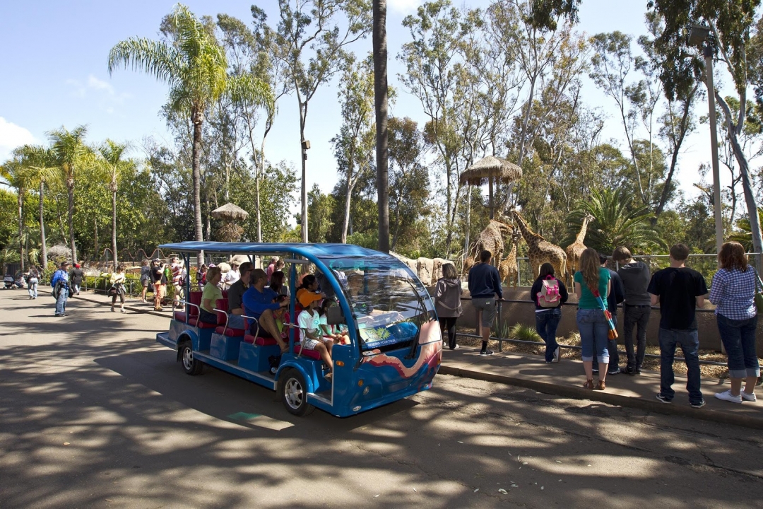 San Diego Zoo Safari Park