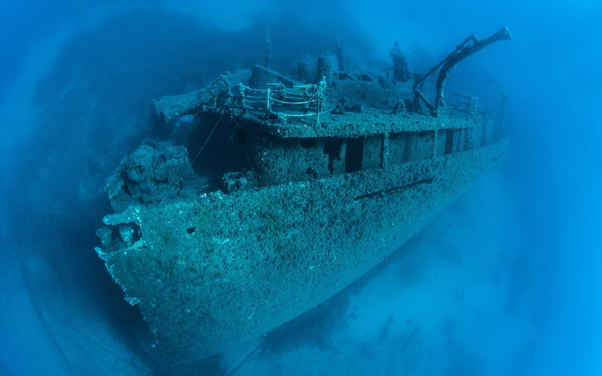 Flor De La Mar