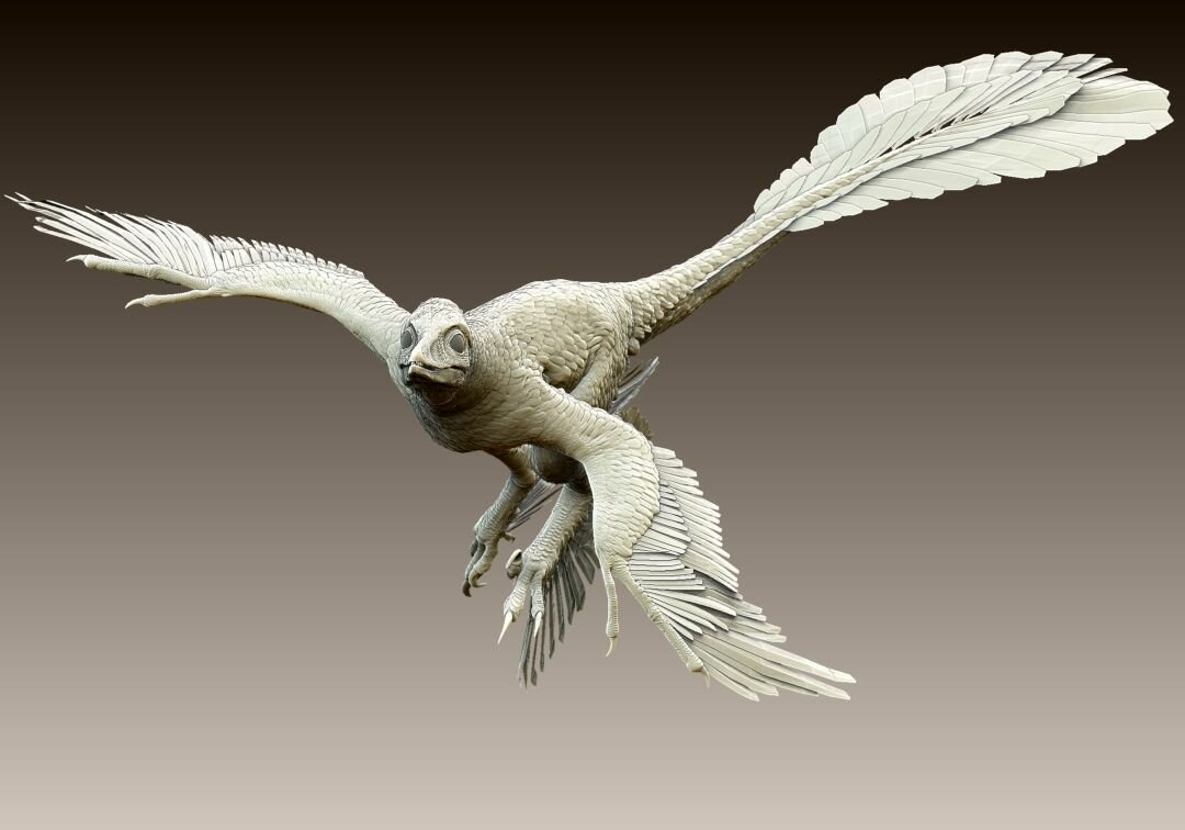 Microraptor