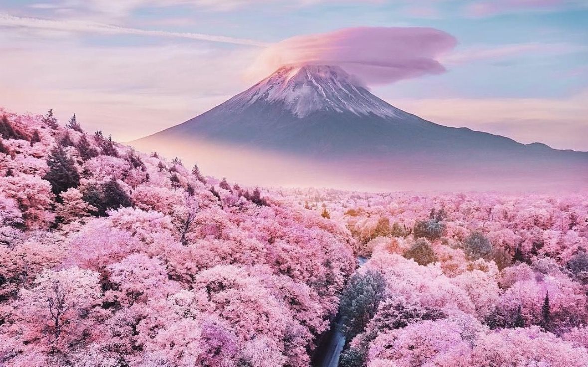 Mt Fuji