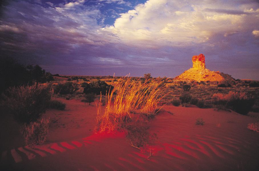 This arid region is inhabited by a wide range of desert animals