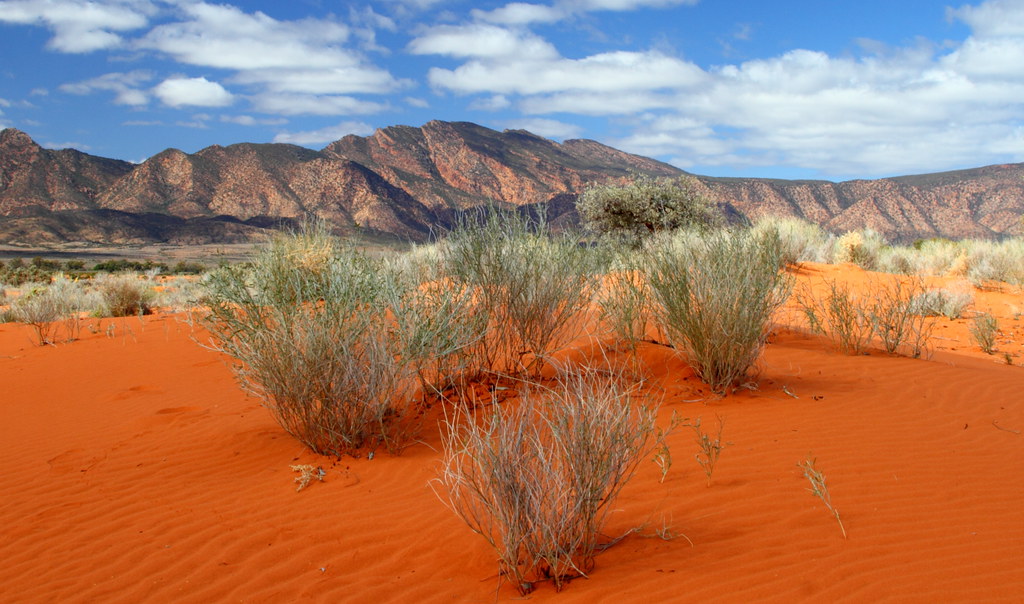 The desert is best known for its massive dunes