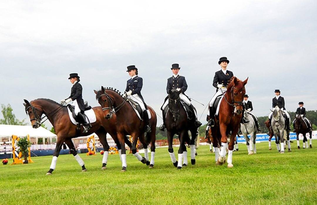 Equestrian sports