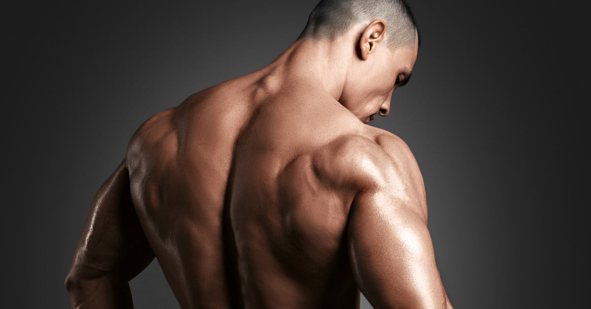 Мужская поясница. Мужская спина. Мужские мускулы спины. Накаченная спина мужская. Мускулатура спины мужчины.