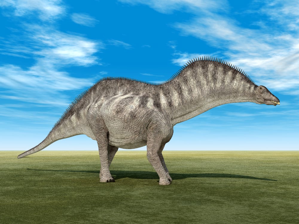 Amargasaurus