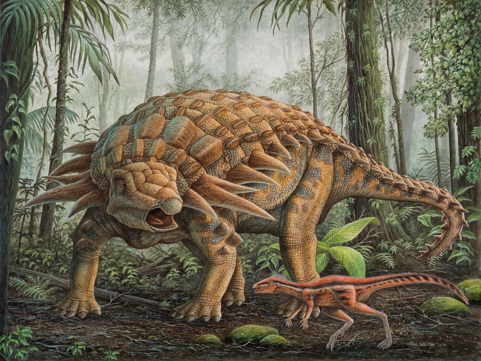 Oryctodromeus