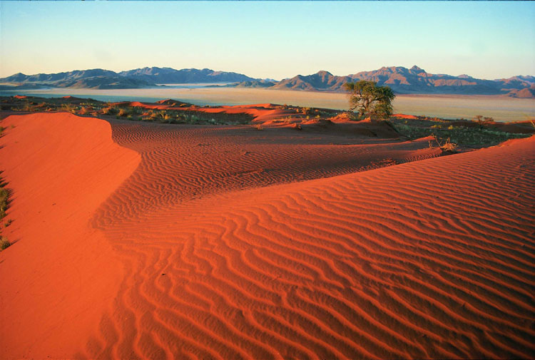 Kalahari Desert