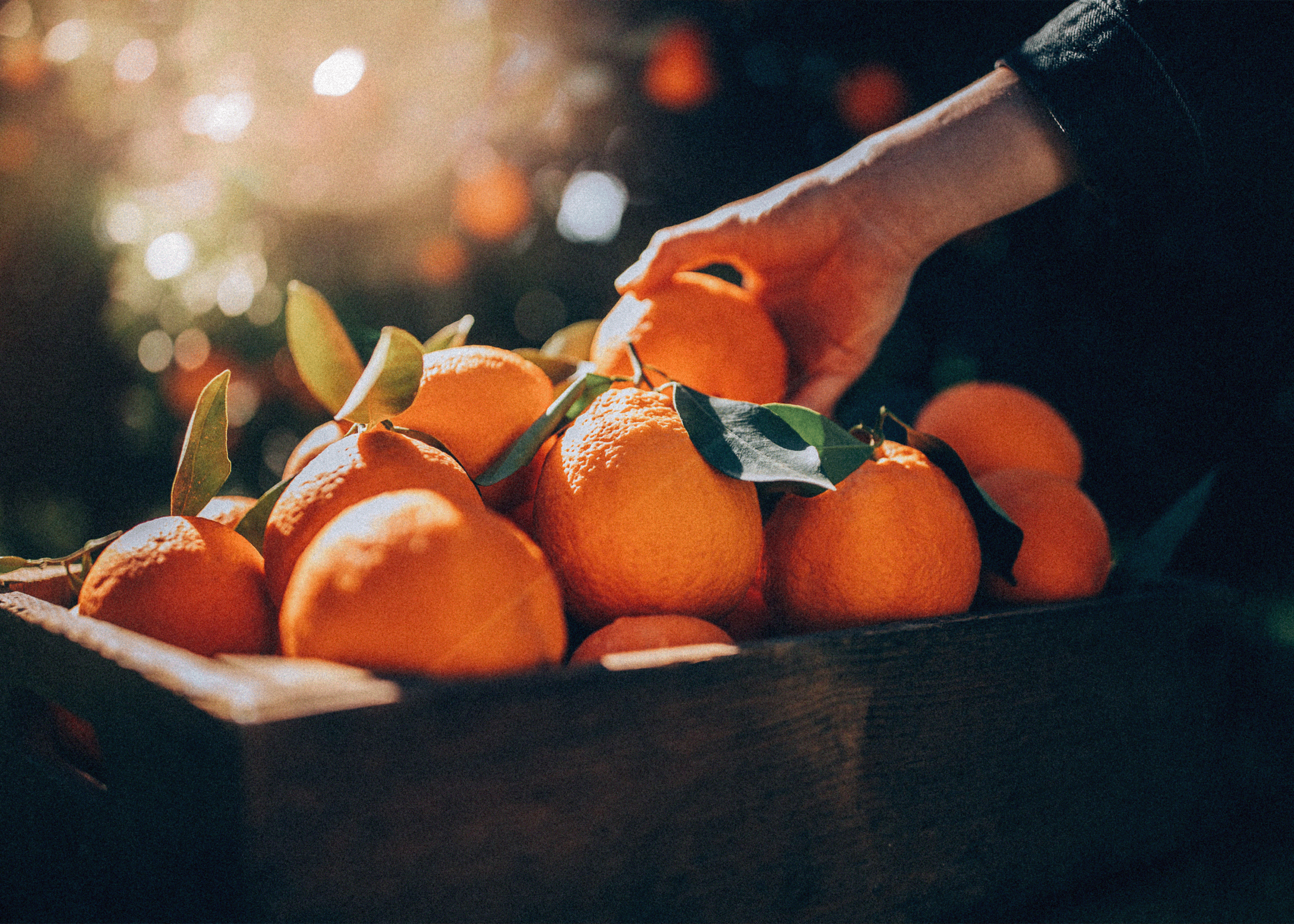 Реклама мандаринов. Мандарины. Девушка с мандаринами. Оранжевый мандарин. Апельсин и мандарин.
