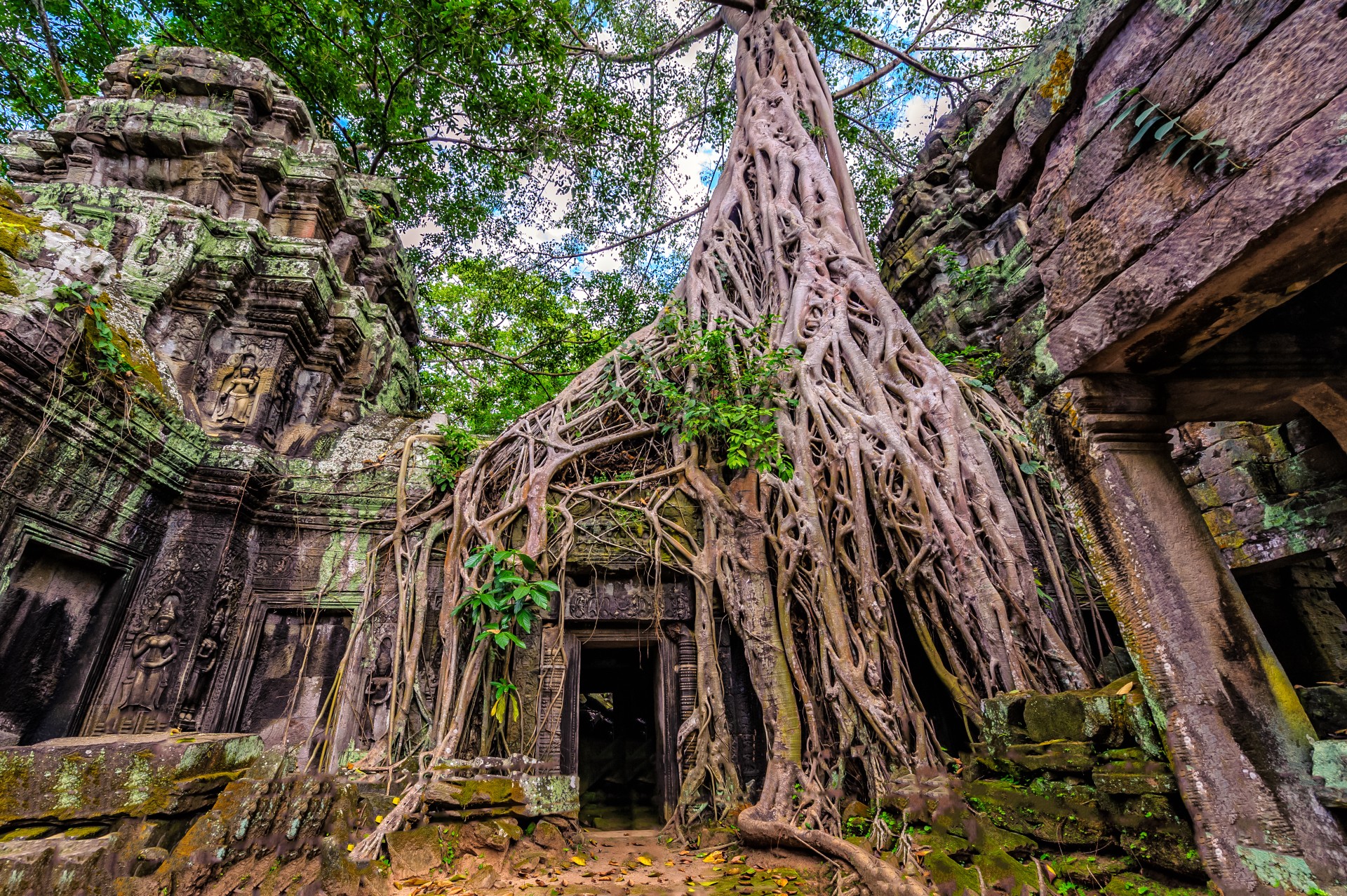 Ta Prohm, Cambodia