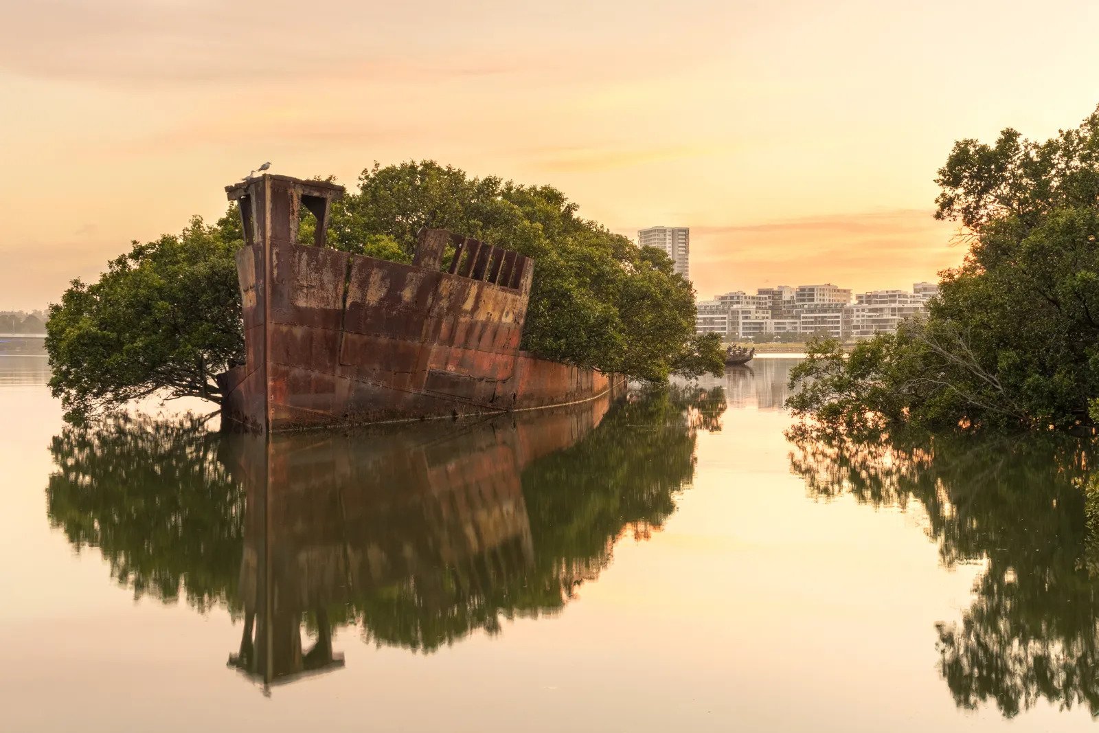 SS Ayrfield, Australia