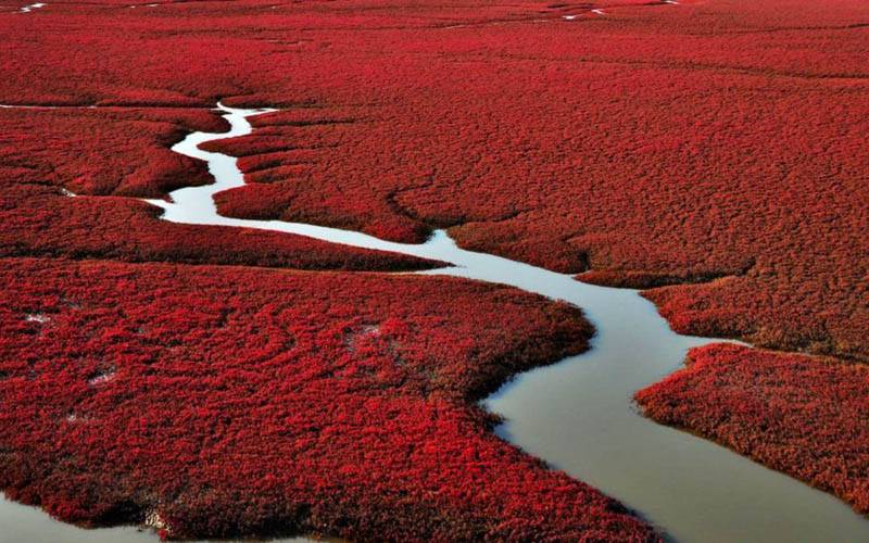 Red Beach, China