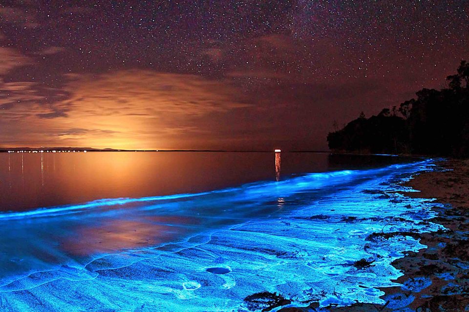Shimmering Shores of Vaadhoo, Maldives