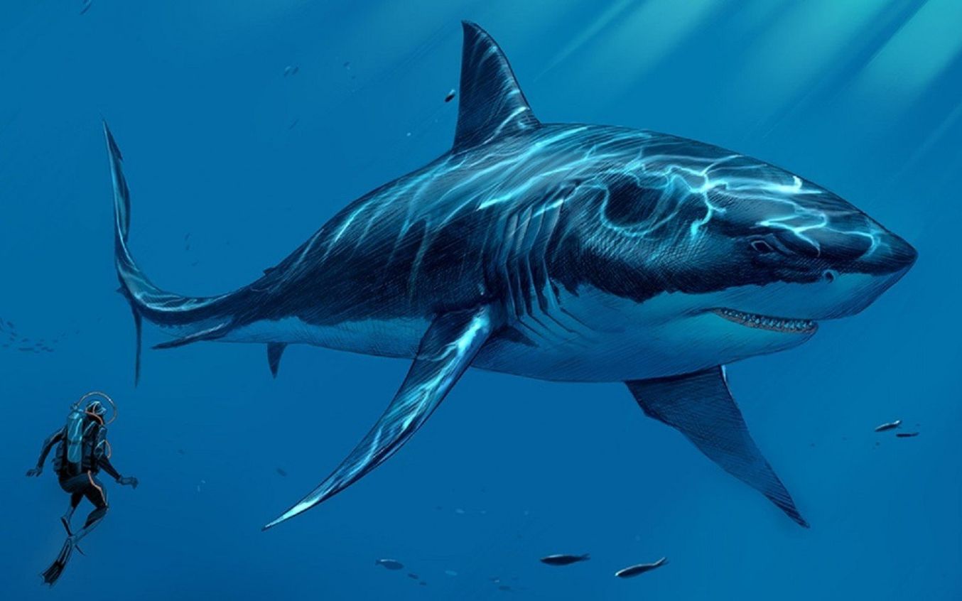 The current largest shark is just a little one