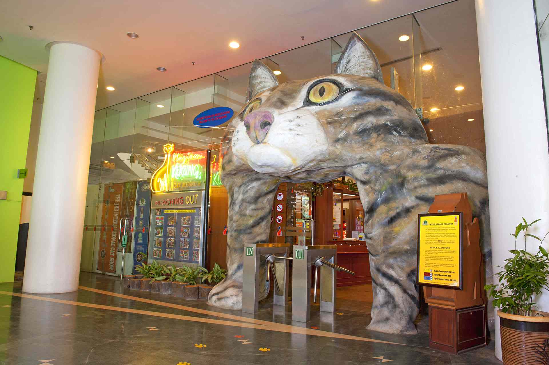 The Cat Museum