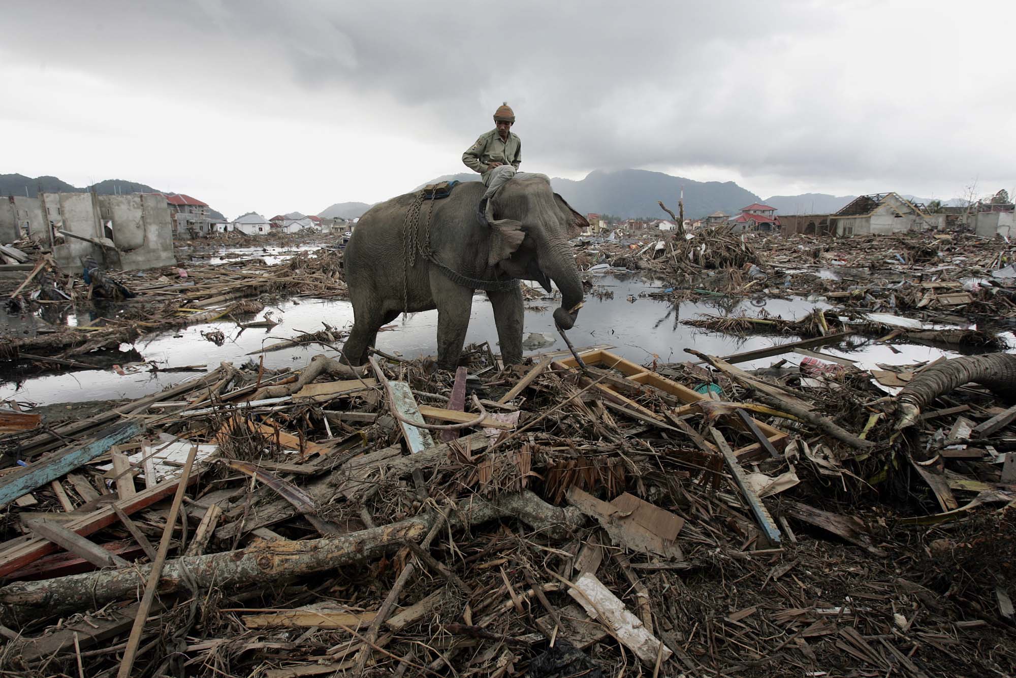  Indian Ocean Earthquake (Tsunami) 2004