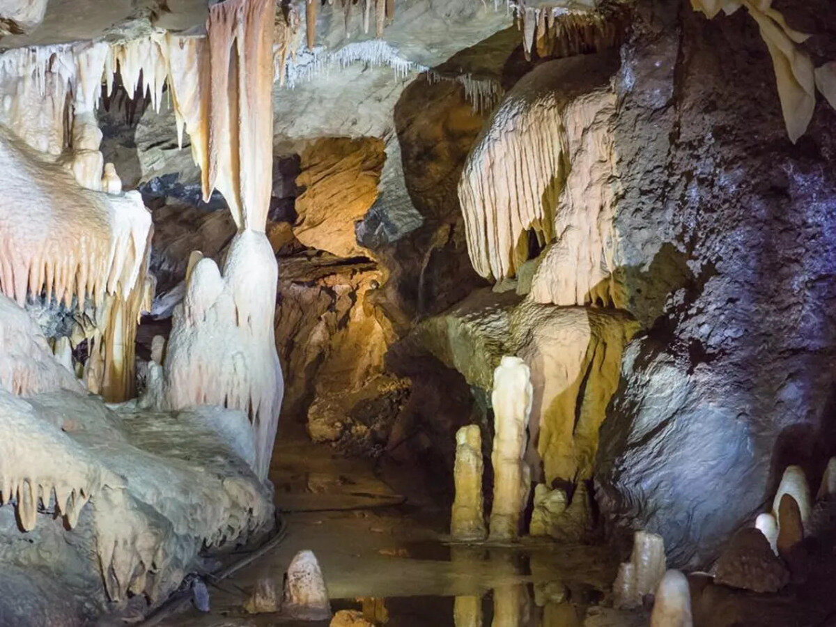 Movile Cave, Romania