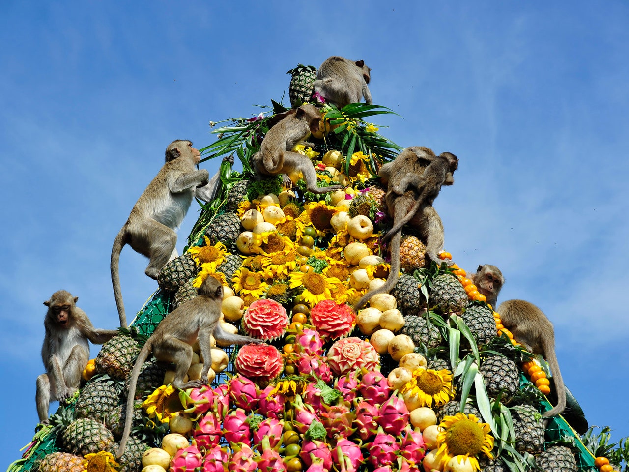 Lopburi Monkey Banquet, Thailand