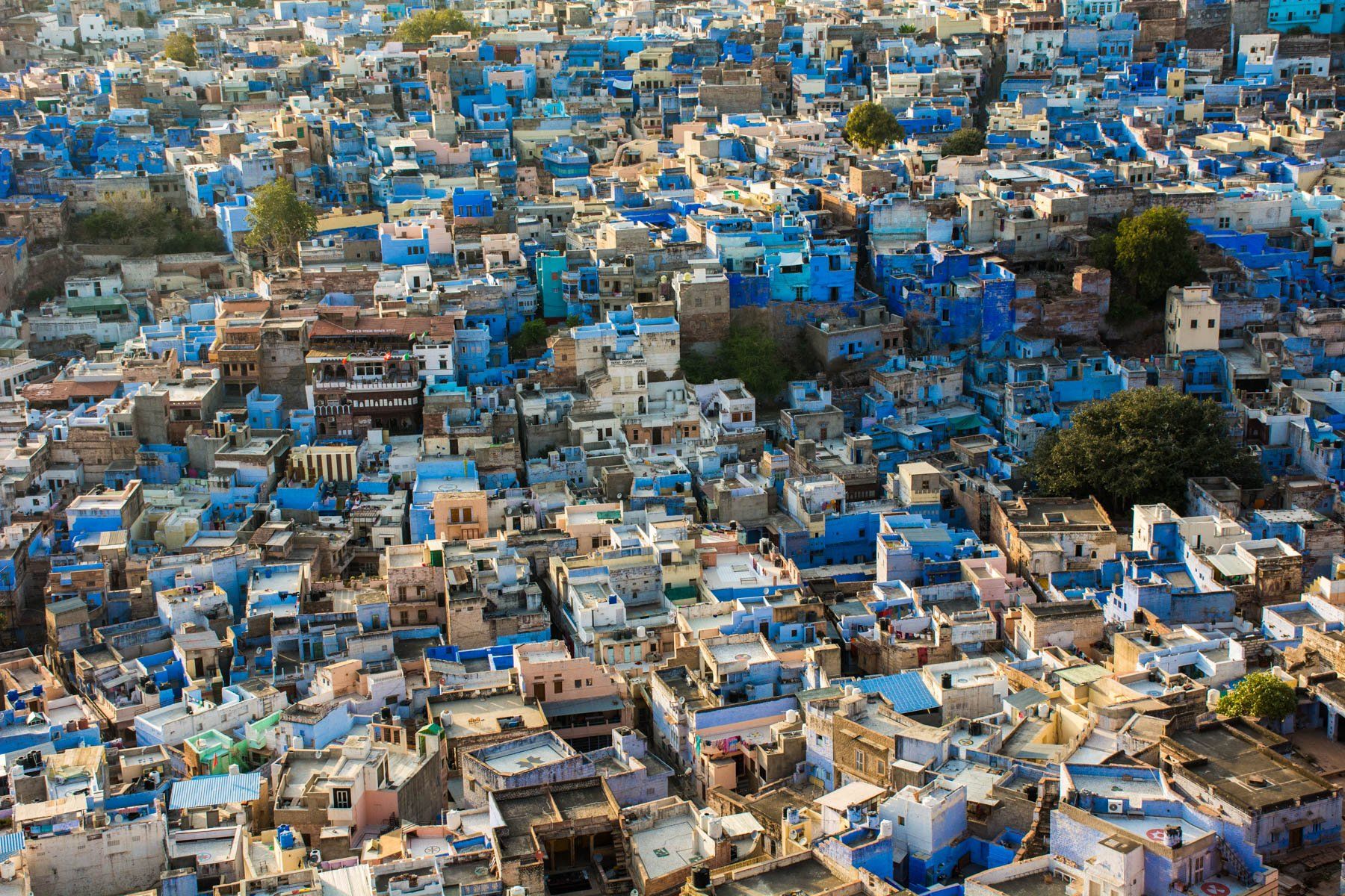 Jodhpur