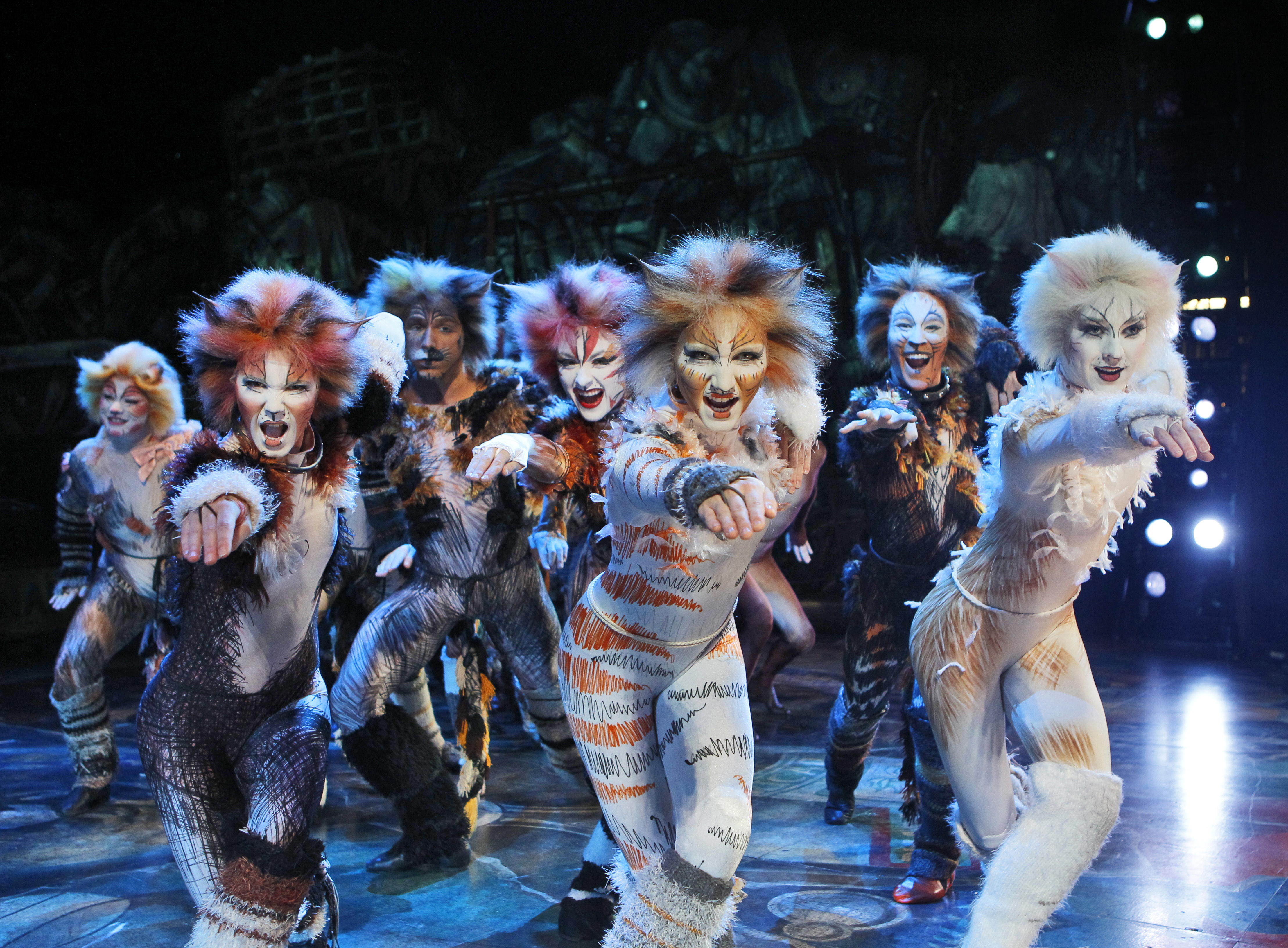 Cats – 7.485 shows