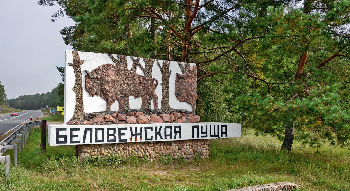 Belovezhskaya Pushcha National Park