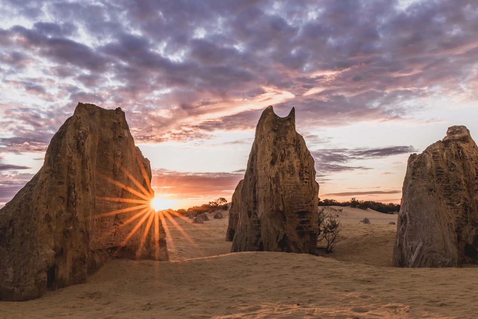 The Pinnacles Desert