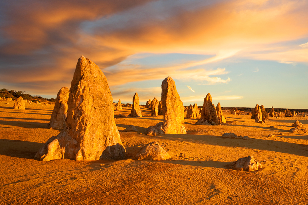 The Pinnacles Desert