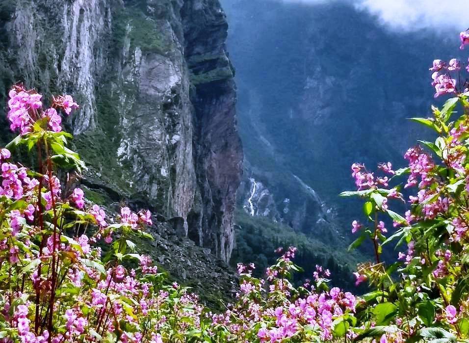 Valley of Flowers National Park, Uttarakhand