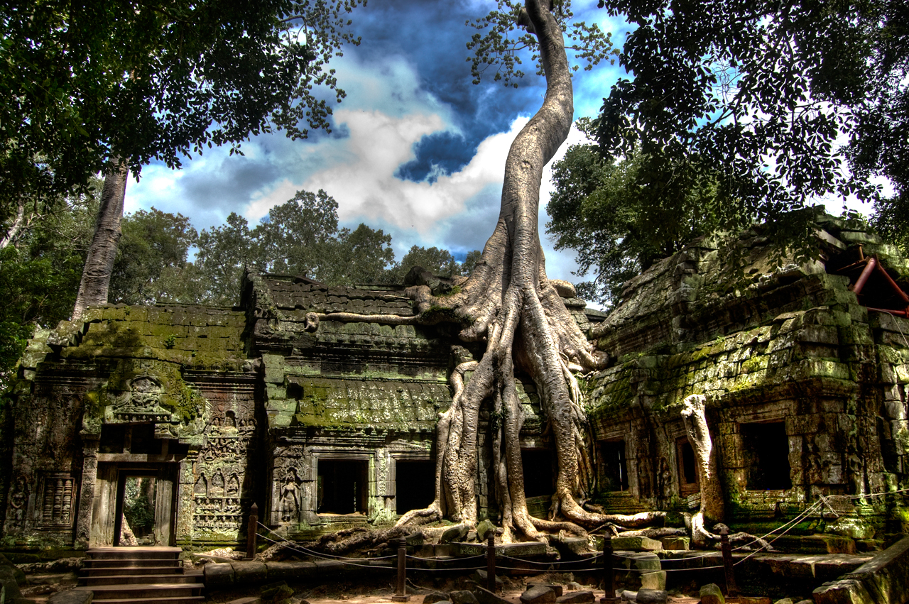 Ta Prohm Temple, Angkor